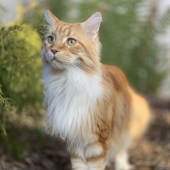 Namaste - Picture 5 of 16